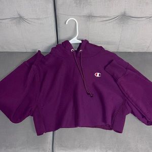 Champion cropped hoodie set